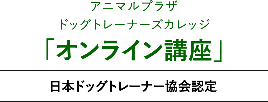 「犬が好き」を、仕事につなげる最初の一歩。日本ドッグトレーナー協会認定 ドッグトレーナーズカレッジ・オンライン講座