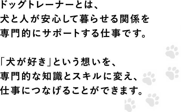 ドッグトレーナーとは、犬と人が安心して暮らせる関係を専門的にサポートする仕事です。「犬が好き」という想いを、専門的な知識とスキルに変え、仕事につなげることができます。