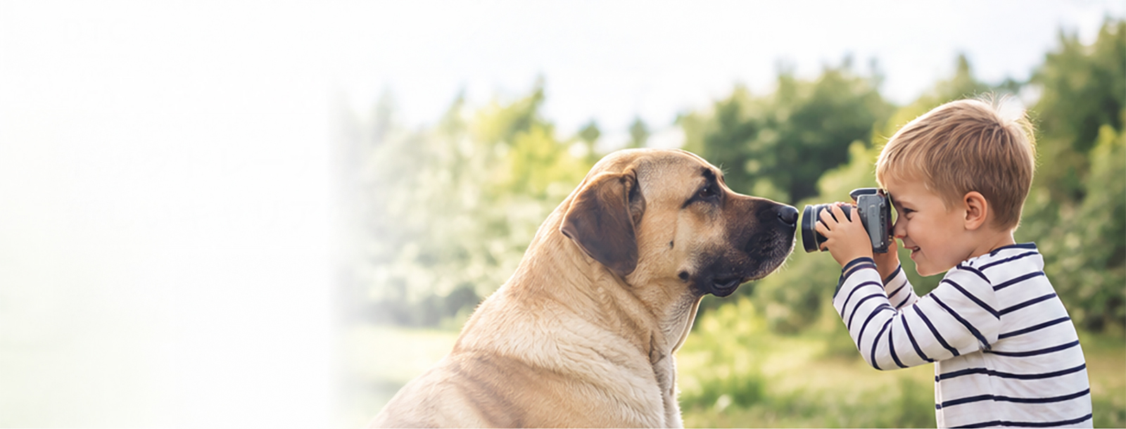 カメラを構える子どもを穏やかに見つめる犬